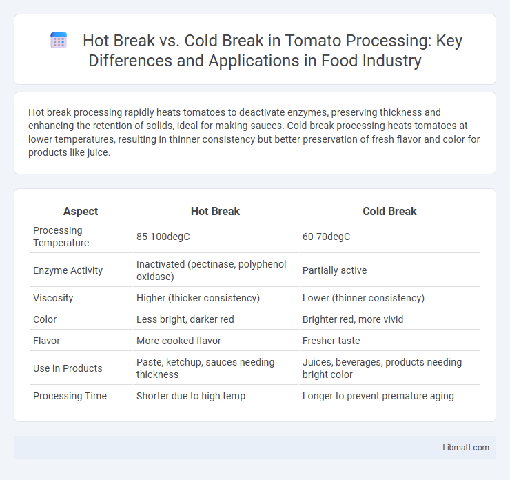 Hot Break vs. Cold Break in Tomato Processing: Key Differences and Applications in Food Industry