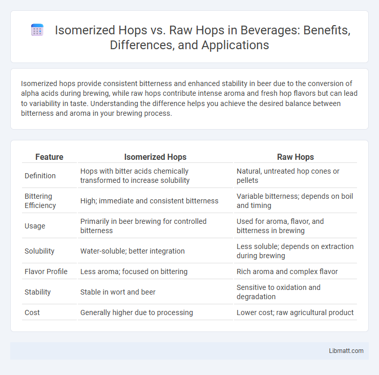 Isomerized Hops vs. Raw Hops in Beverages: Benefits, Differences, and Applications