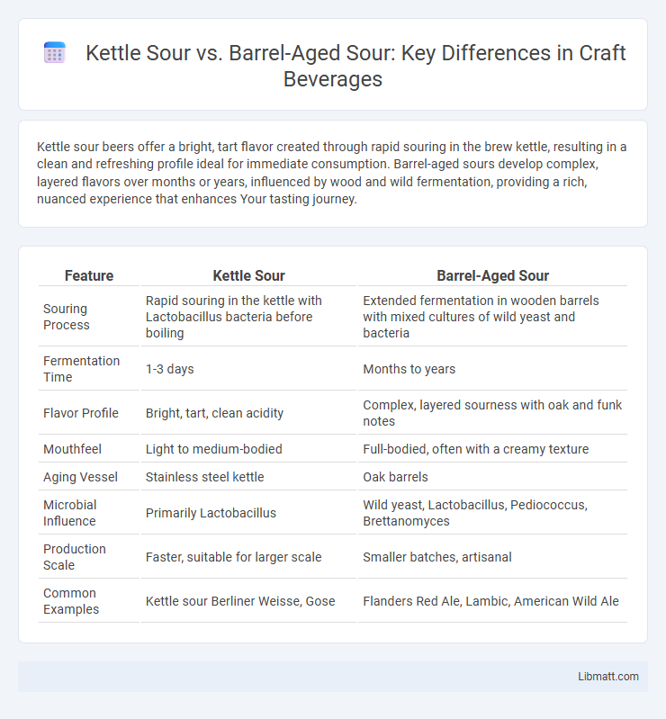 Kettle Sour vs. Barrel-Aged Sour: Key Differences in Craft Beverages