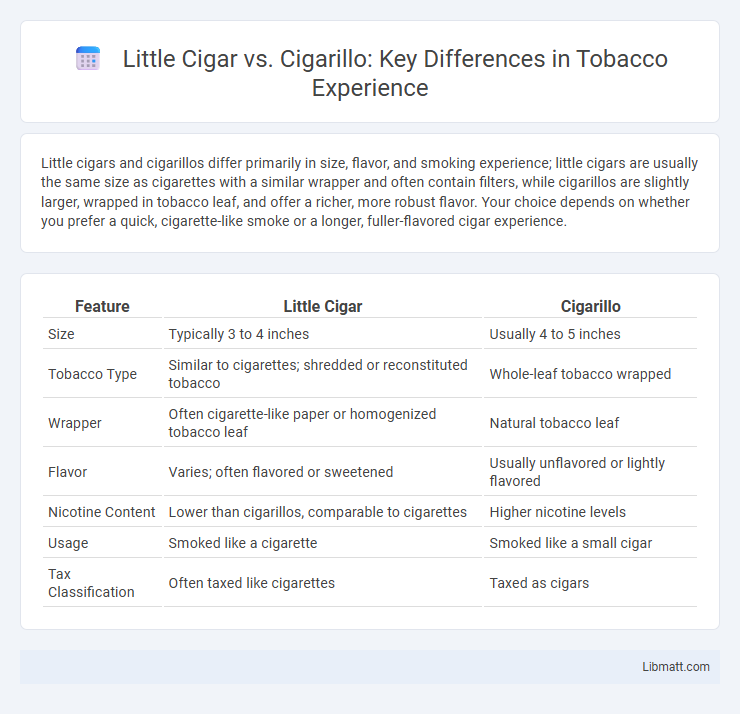Little Cigar vs. Cigarillo: Key Differences in Tobacco Experience