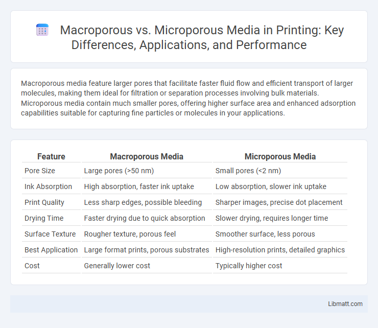 Macroporous vs. Microporous Media in Printing: Key Differences, Applications, and Performance