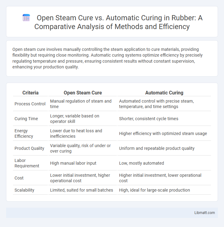 Open Steam Cure vs. Automatic Curing in Rubber: A Comparative Analysis of Methods and Efficiency