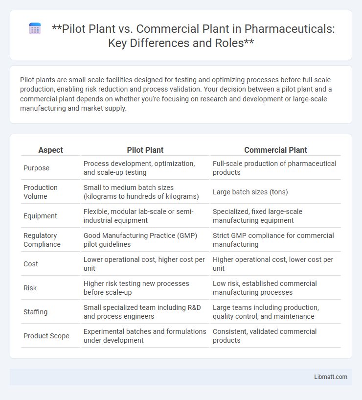 Pilot Plant vs. Commercial Plant in Pharmaceuticals: Key Differences and Roles