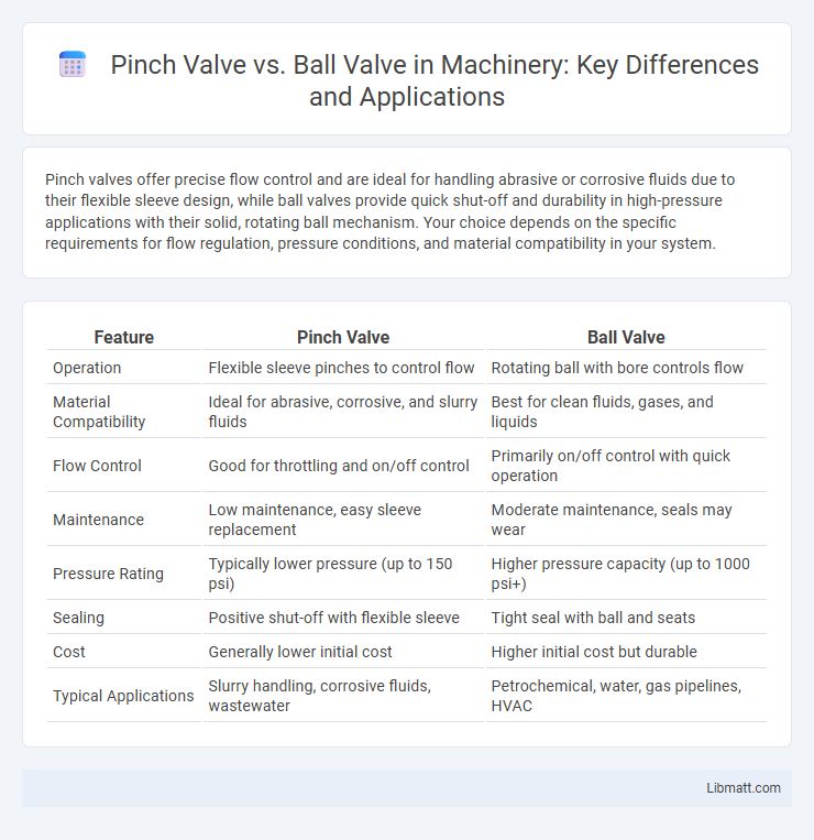 Pinch Valve vs. Ball Valve in Machinery: Key Differences and Applications