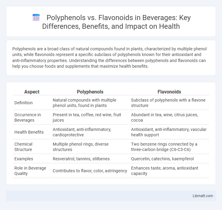 Polyphenols vs. Flavonoids in Beverages: Key Differences, Benefits, and Impact on Health