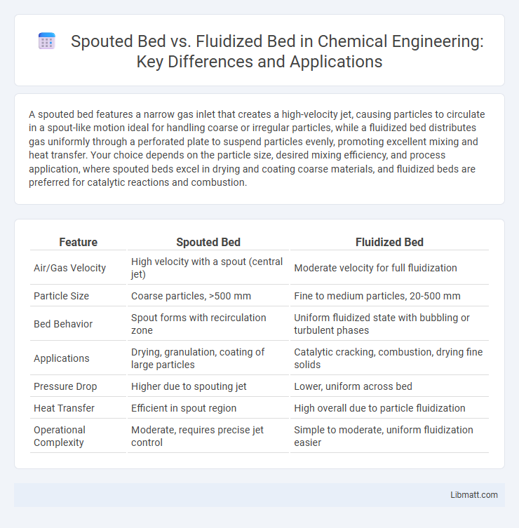 Spouted Bed vs. Fluidized Bed in Chemical Engineering: Key Differences and Applications