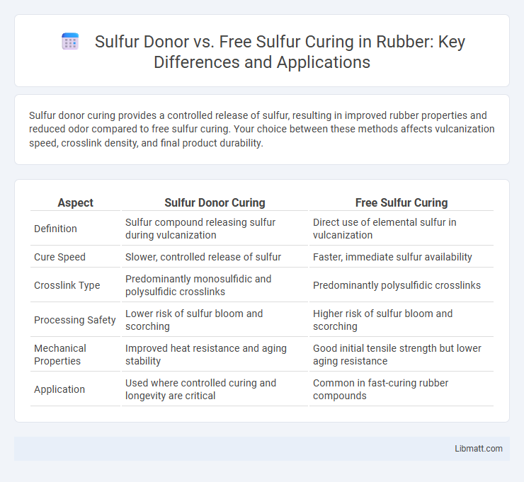 Sulfur Donor vs. Free Sulfur Curing in Rubber: Key Differences and Applications