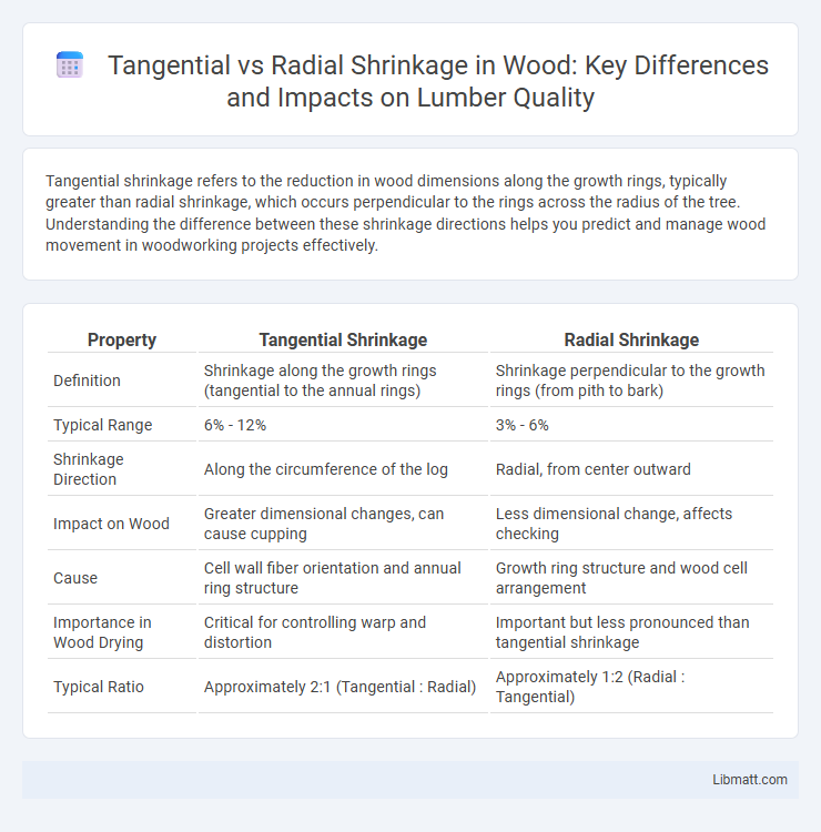 Tangential vs Radial Shrinkage in Wood: Key Differences and Impacts on Lumber Quality