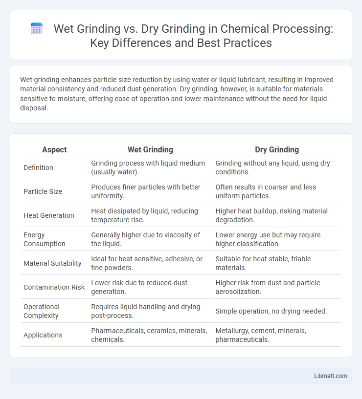 Wet Grinding vs. Dry Grinding in Chemical Processing: Key Differences and Best Practices