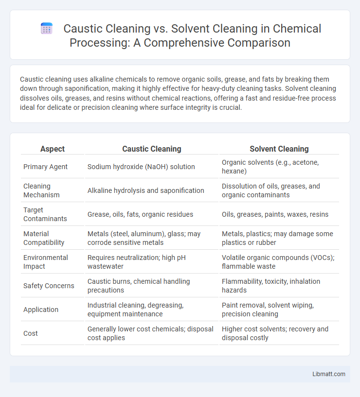Caustic Cleaning vs. Solvent Cleaning in Chemical Processing: A Comprehensive Comparison