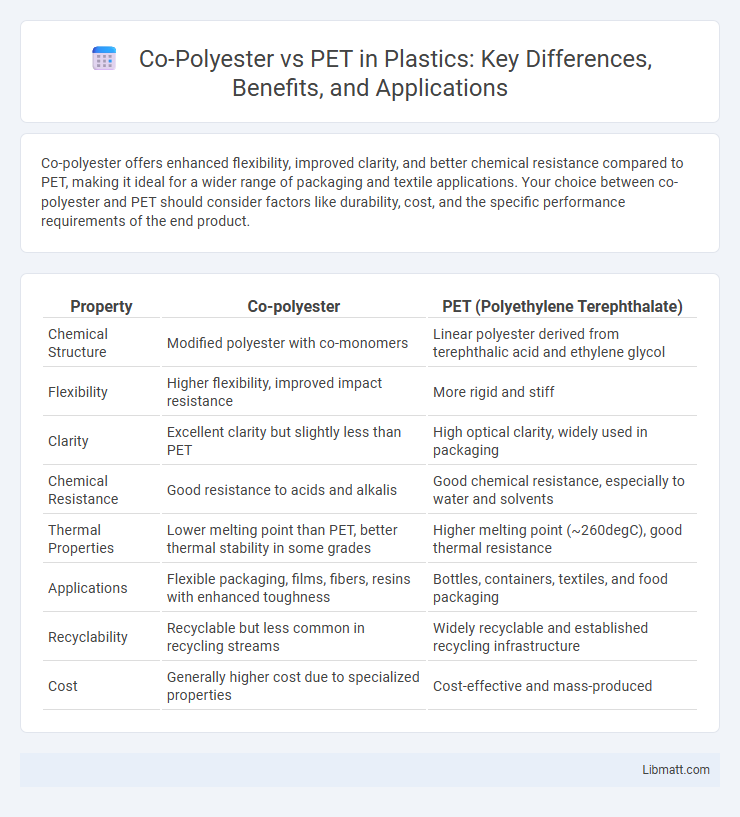 Co-Polyester vs PET in Plastics: Key Differences, Benefits, and Applications