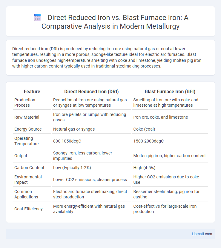 Direct Reduced Iron vs. Blast Furnace Iron: A Comparative Analysis in Modern Metallurgy