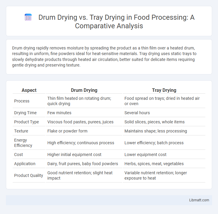 Drum Drying vs. Tray Drying in Food Processing: A Comparative Analysis