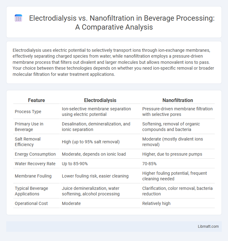 Electrodialysis vs. Nanofiltration in Beverage Processing: A Comparative Analysis