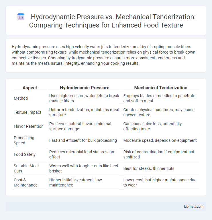 Hydrodynamic Pressure vs. Mechanical Tenderization: Comparing Techniques for Enhanced Food Texture