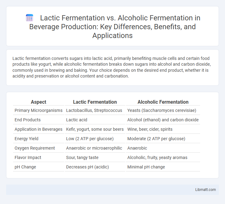 Lactic Fermentation vs. Alcoholic Fermentation in Beverage Production: Key Differences, Benefits, and Applications