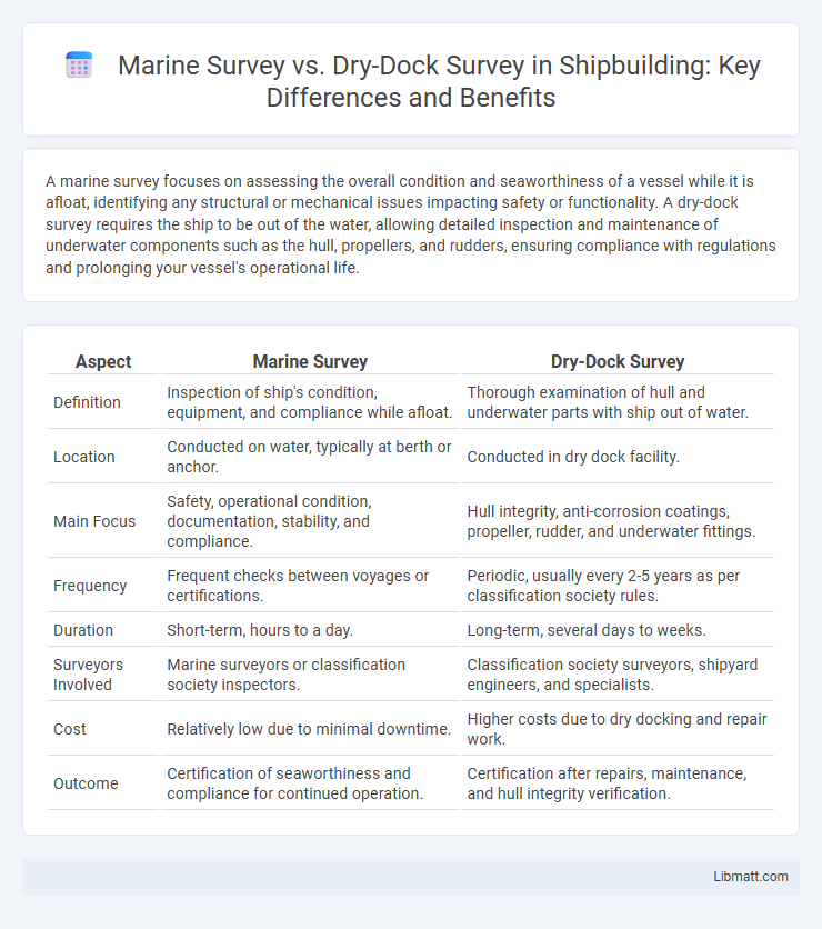 Marine Survey vs. Dry-Dock Survey in Shipbuilding: Key Differences and Benefits