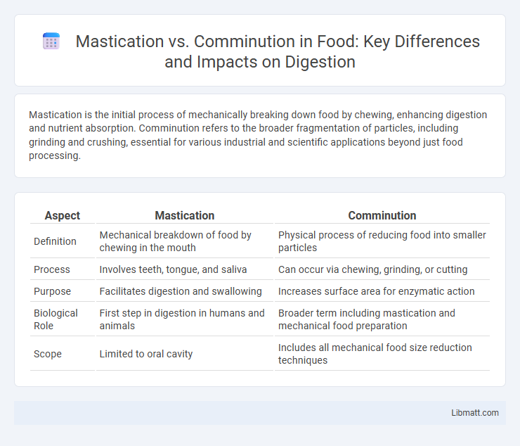 Mastication vs. Comminution in Food: Key Differences and Impacts on Digestion