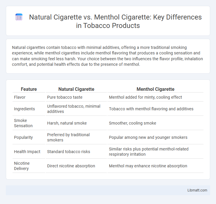Natural Cigarette vs. Menthol Cigarette: Key Differences in Tobacco Products