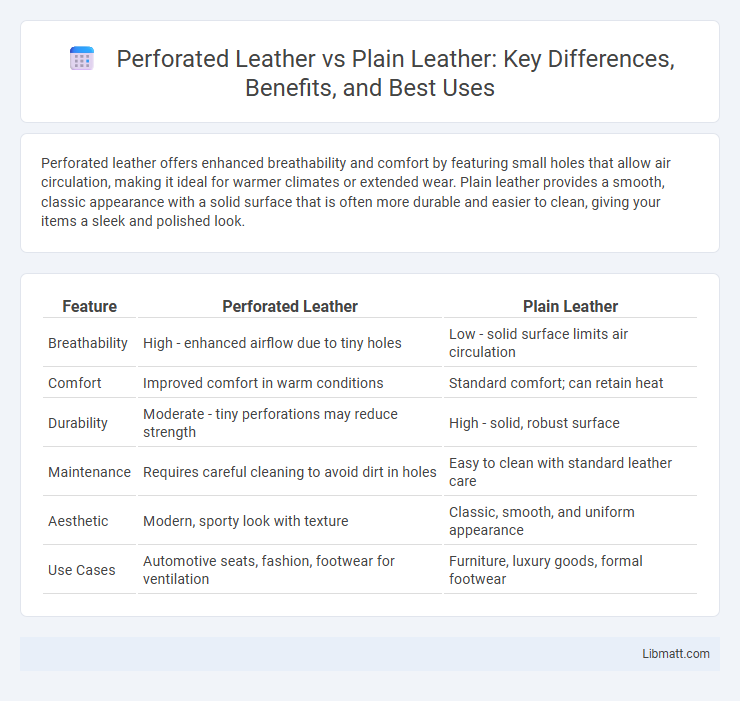 Perforated Leather vs Plain Leather: Key Differences, Benefits, and Best Uses