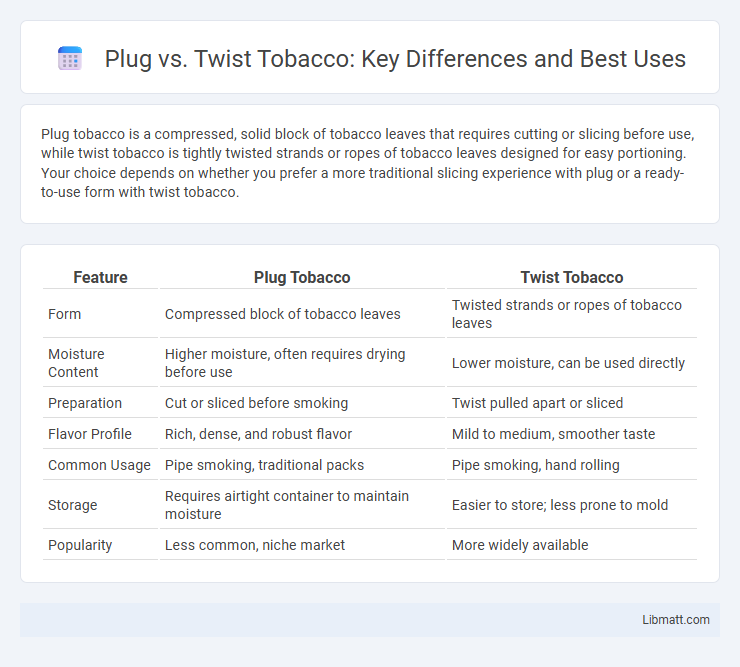 Plug vs. Twist Tobacco: Key Differences and Best Uses