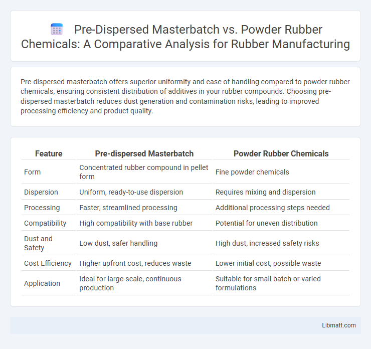 Pre-Dispersed Masterbatch vs. Powder Rubber Chemicals: A Comparative Analysis for Rubber Manufacturing