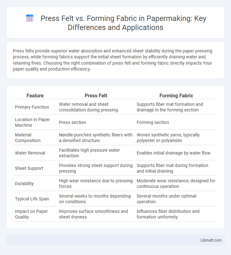 Press Felt vs. Forming Fabric in Papermaking: Key Differences and Applications