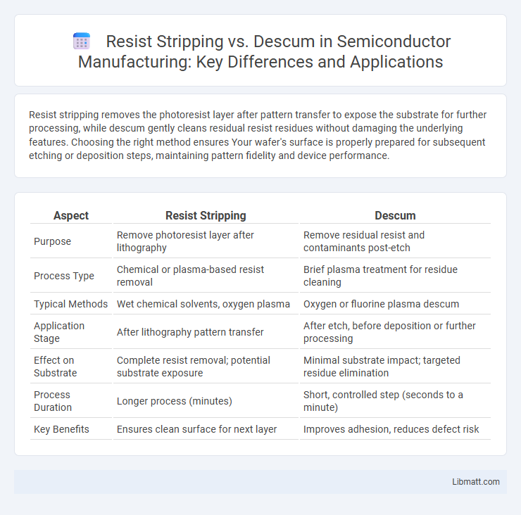 Resist Stripping vs. Descum in Semiconductor Manufacturing: Key Differences and Applications