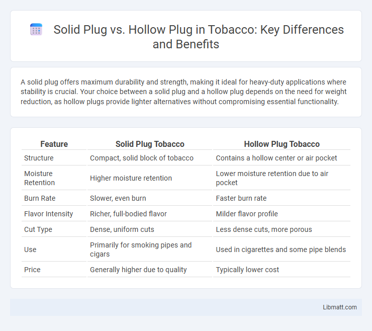 Solid Plug vs. Hollow Plug in Tobacco: Key Differences and Benefits