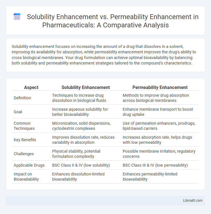 Solubility Enhancement vs. Permeability Enhancement in Pharmaceuticals: A Comparative Analysis
