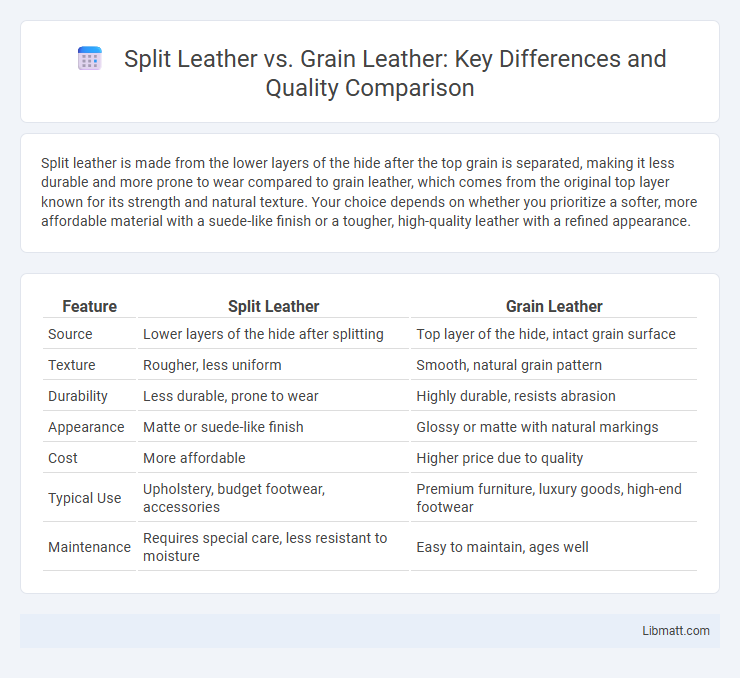 Split Leather vs. Grain Leather: Key Differences and Quality Comparison