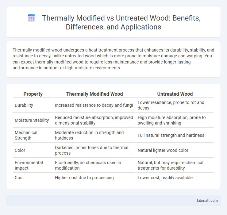 Thermally Modified vs Untreated Wood: Benefits, Differences, and Applications
