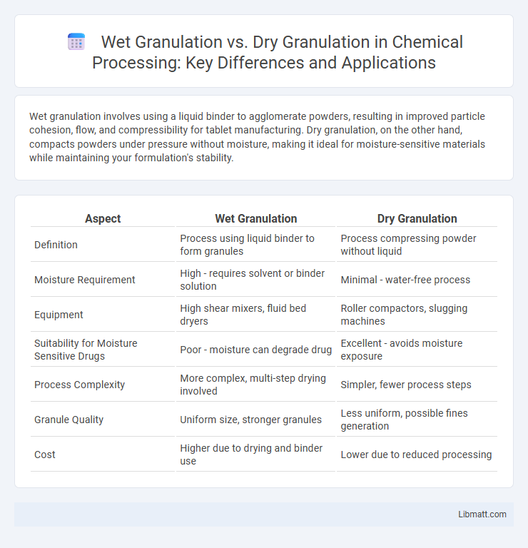 Wet Granulation vs. Dry Granulation in Chemical Processing: Key Differences and Applications