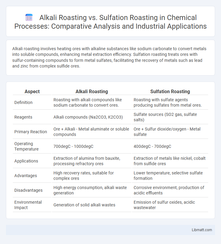Alkali Roasting vs. Sulfation Roasting in Chemical Processes: Comparative Analysis and Industrial Applications
