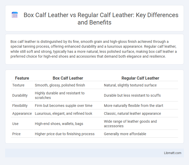 Box Calf Leather vs Regular Calf Leather: Key Differences and Benefits