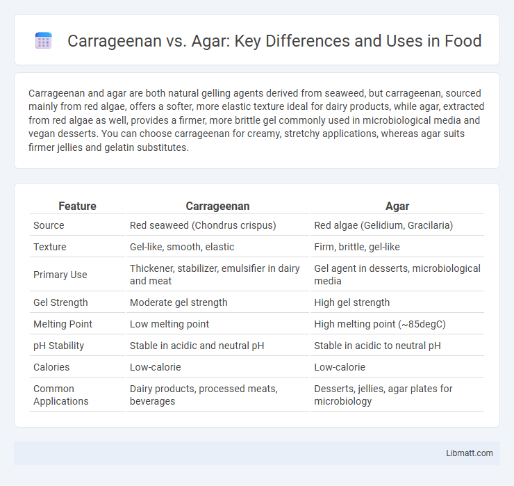 Carrageenan vs. Agar: Key Differences and Uses in Food