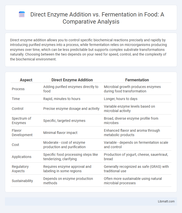 Direct Enzyme Addition vs. Fermentation in Food: A Comparative Analysis