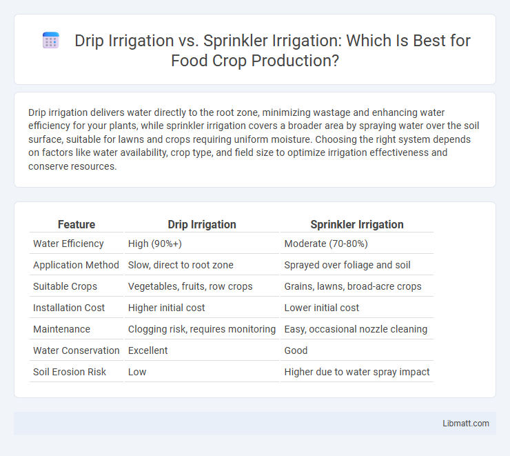 Drip Irrigation vs. Sprinkler Irrigation: Which Is Best for Food Crop Production?