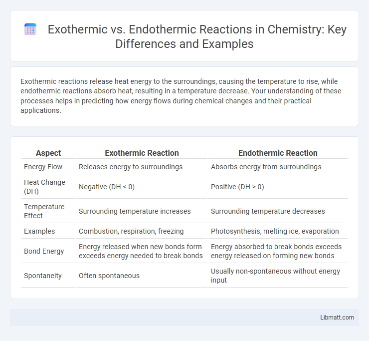 Exothermic vs. Endothermic Reactions in Chemistry: Key Differences and Examples