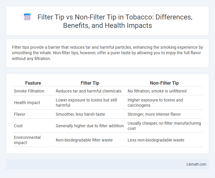 Filter Tip vs Non-Filter Tip in Tobacco: Differences, Benefits, and Health Impacts