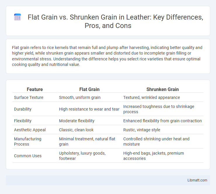Flat Grain vs. Shrunken Grain in Leather: Key Differences, Pros, and Cons
