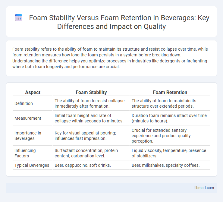 Foam Stability Versus Foam Retention in Beverages: Key Differences and Impact on Quality
