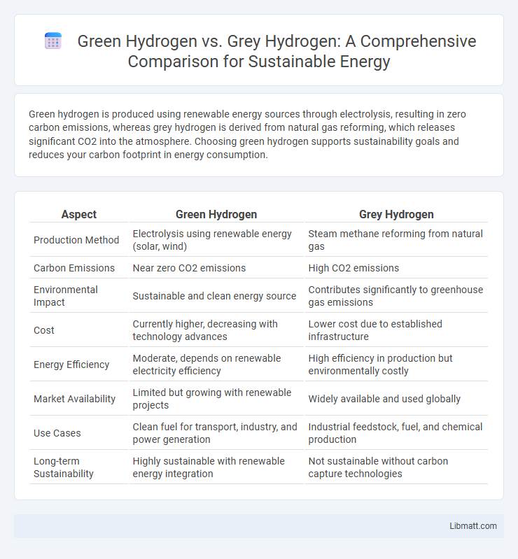 Green Hydrogen vs. Grey Hydrogen: A Comprehensive Comparison for Sustainable Energy