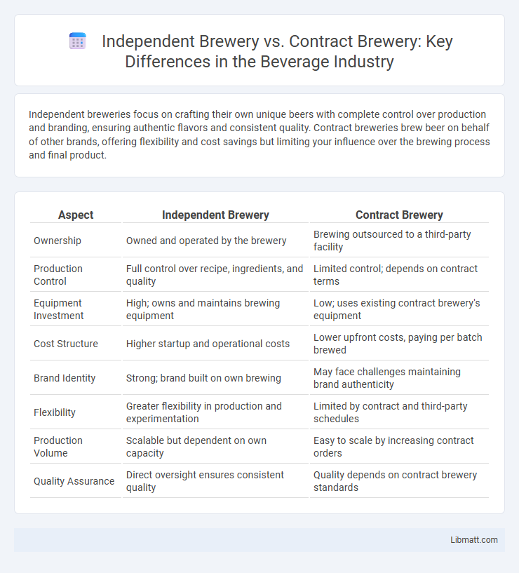 Independent Brewery vs. Contract Brewery: Key Differences in the Beverage Industry