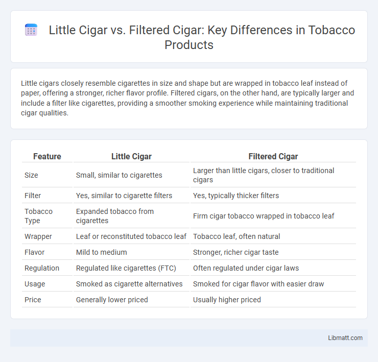 Little Cigar vs. Filtered Cigar: Key Differences in Tobacco Products
