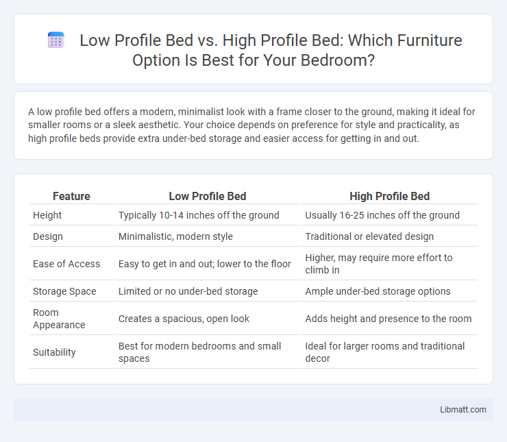 Low Profile Bed vs. High Profile Bed: Which Furniture Option Is Best for Your Bedroom?