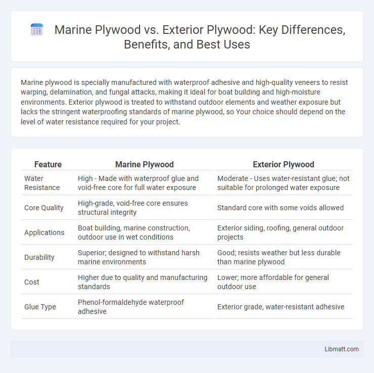 Marine Plywood vs. Exterior Plywood: Key Differences, Benefits, and Best Uses