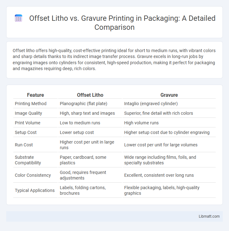 Offset Litho vs. Gravure Printing in Packaging: A Detailed Comparison