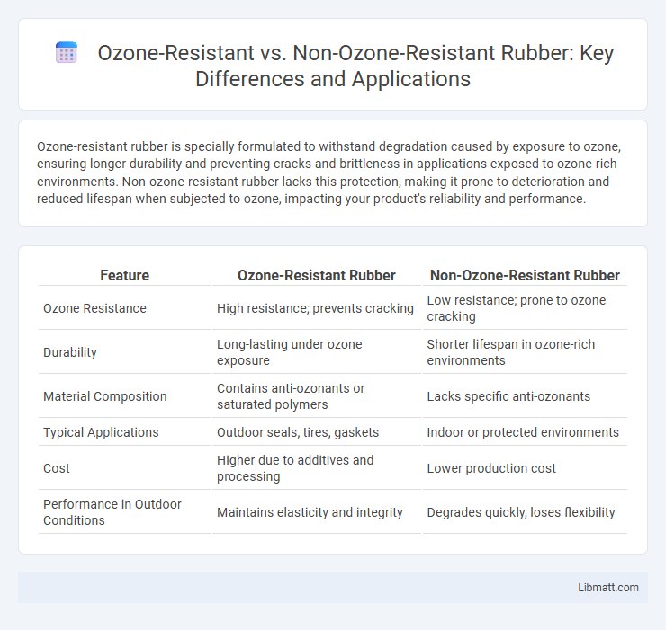 Ozone-Resistant vs. Non-Ozone-Resistant Rubber: Key Differences and Applications