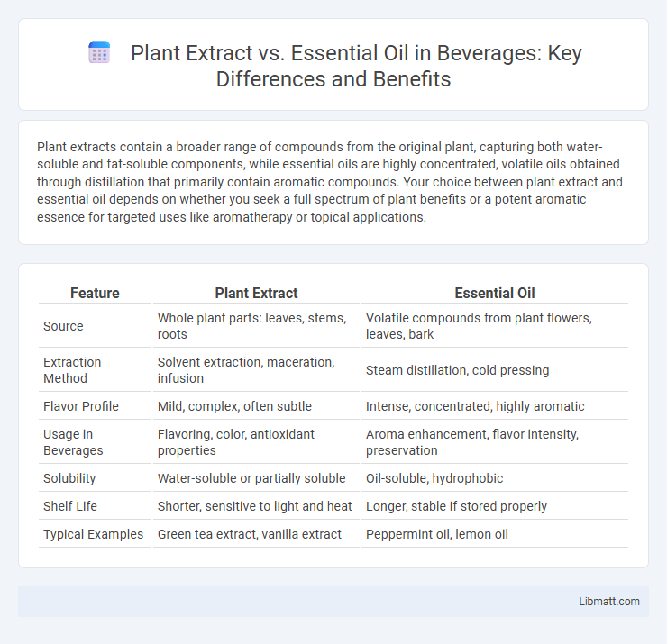 Plant Extract vs. Essential Oil in Beverages: Key Differences and Benefits